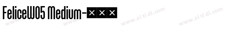 FeliceW05 Medium字体转换